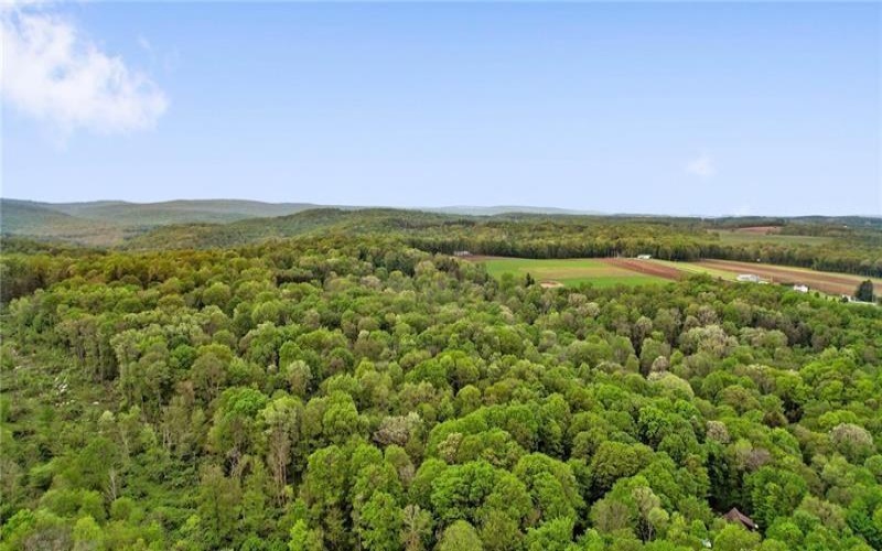 Lot #2 Ream Road, Middlecreek Township, 15557, ,Farm-acreage-lot,For Sale,Ream Road,1658426