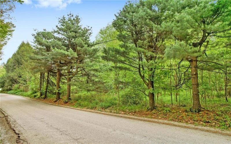 Lot #2 Ream Road, Middlecreek Township, 15557, ,Farm-acreage-lot,For Sale,Ream Road,1658426