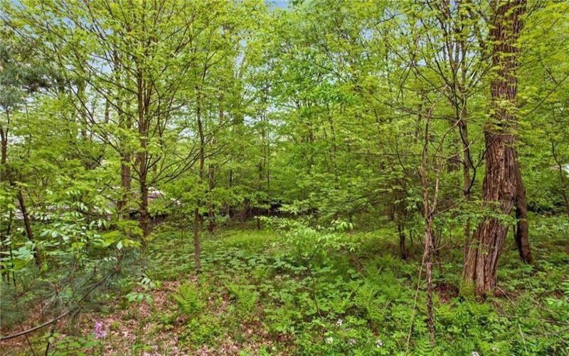 Lot #2 Ream Road, Middlecreek Township, 15557, ,Farm-acreage-lot,For Sale,Ream Road,1658426