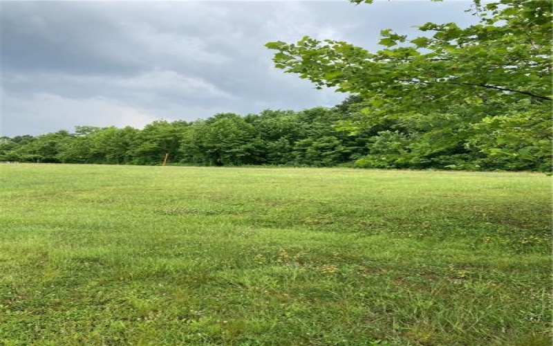 Lots 3, 4, 5, 6 Harris, Smith, 15053, ,Farm-acreage-lot,For Sale,Harris,1658424