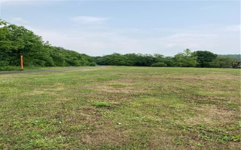 Lots 3, 4, 5, 6 Harris, Smith, 15053, ,Farm-acreage-lot,For Sale,Harris,1658424