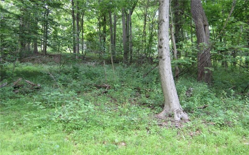 165 Security Dr, Washington, 15301, ,Farm-acreage-lot,For Sale,Security Dr,1658705