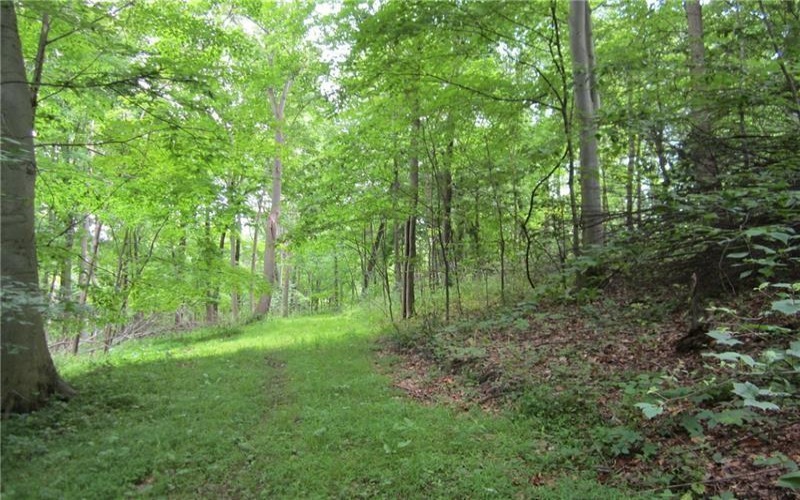 165 Security Dr, Washington, 15301, ,Farm-acreage-lot,For Sale,Security Dr,1658705