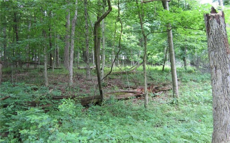 165 Security Dr, Washington, 15301, ,Farm-acreage-lot,For Sale,Security Dr,1658705