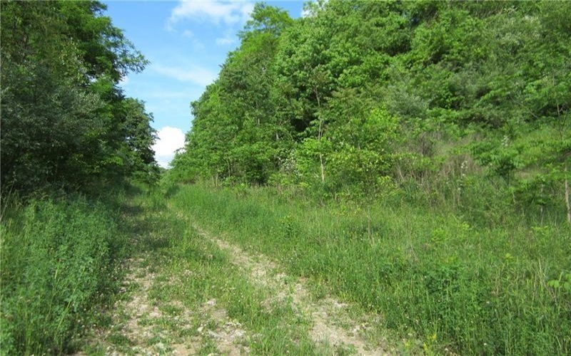 165 Security Dr, Washington, 15301, ,Farm-acreage-lot,For Sale,Security Dr,1658705