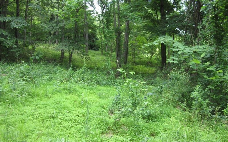 165 Security Dr, Washington, 15301, ,Farm-acreage-lot,For Sale,Security Dr,1658705