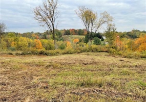 10 Muse Bishop, Canonsburg, 15317, ,Farm-acreage-lot,For Sale,None,Muse Bishop,1659711