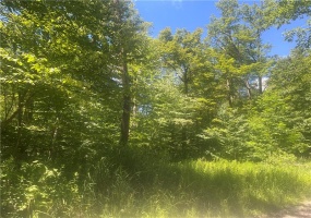 336 Zermatt Road, Jennerstown, 15547, ,Farm-acreage-lot,For Sale,Zermatt Road,1660190