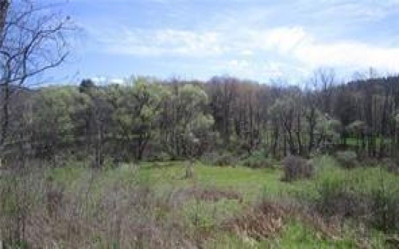 412 Markle Road, Leechburg, 15613, ,Farm-acreage-lot,For Sale,blds,Markle Road,1659712
