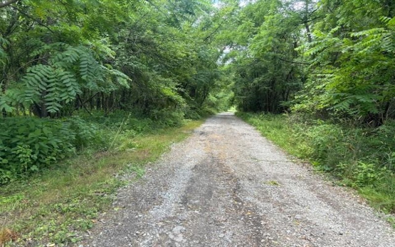 0 Berry Rd Ext, Washington, 15301, ,Farm-acreage-lot,For Sale,Berry Rd Ext,1660541