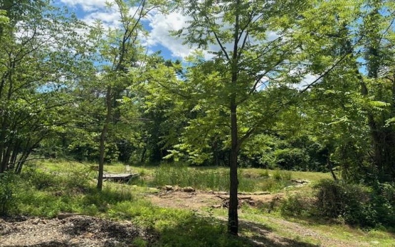 0 Berry Rd Ext, Washington, 15301, ,Farm-acreage-lot,For Sale,Berry Rd Ext,1660541