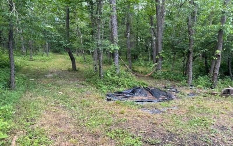 0 Berry Rd Ext, Washington, 15301, ,Farm-acreage-lot,For Sale,Berry Rd Ext,1660541