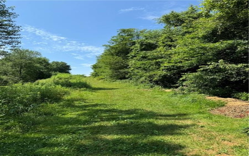 Parcel E Patricia Way, Leechburg, 15656, ,Farm-acreage-lot,For Sale,Patricia Way,1660733