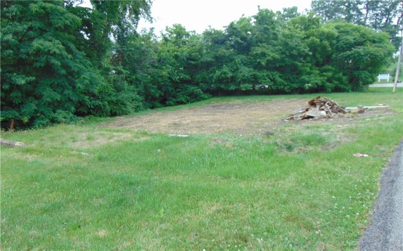 1021 Monongahela St, Rostraver Township, 15012, ,Farm-acreage-lot,For Sale,Monongahela St,1661563
