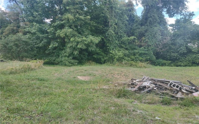 1021 Monongahela St, Rostraver Township, 15012, ,Farm-acreage-lot,For Sale,Monongahela St,1661563