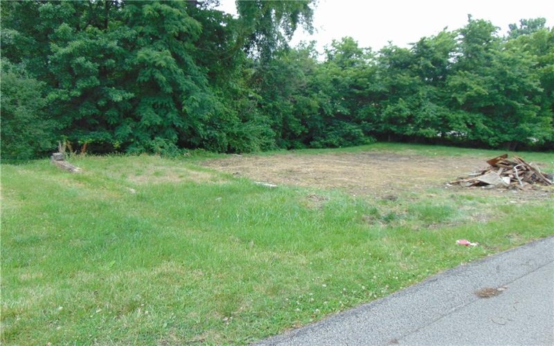 1021 Monongahela St, Rostraver Township, 15012, ,Farm-acreage-lot,For Sale,Monongahela St,1661563