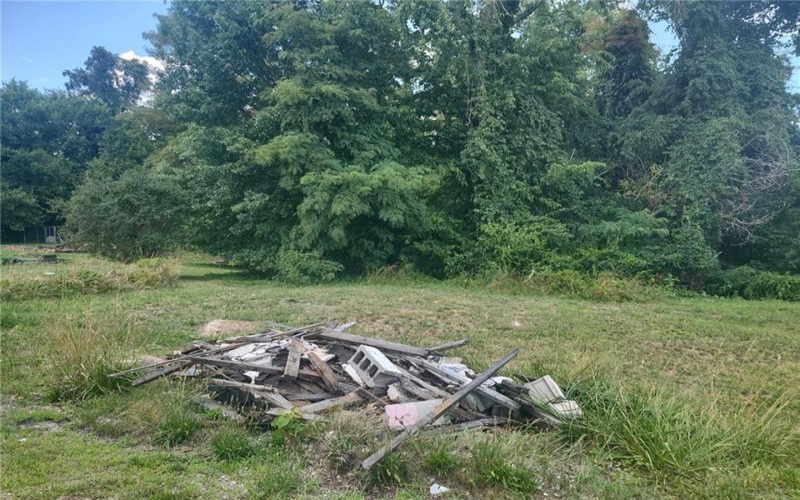 1021 Monongahela St, Rostraver Township, 15012, ,Farm-acreage-lot,For Sale,Monongahela St,1661563