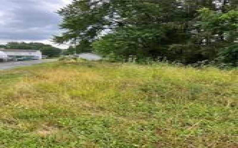 305 Hickory Alley, Ligonier, 15658, ,Farm-acreage-lot,For Sale,Hickory Alley,1662187