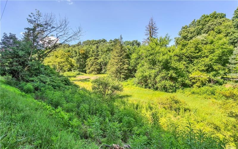 4076 Bulltown Rd, Murrysville, 15632, ,Farm-acreage-lot,For Sale,Raw Land, No Buildings,Bulltown Rd,1661841