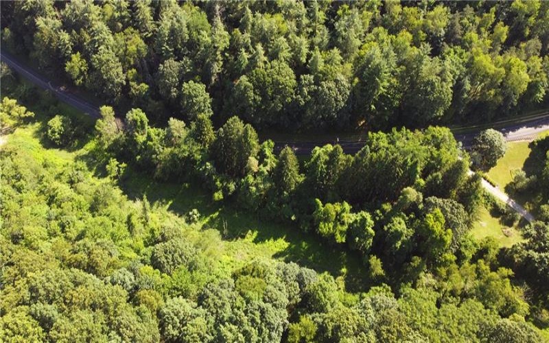 4076 Bulltown Rd, Murrysville, 15632, ,Farm-acreage-lot,For Sale,Raw Land, No Buildings,Bulltown Rd,1661841