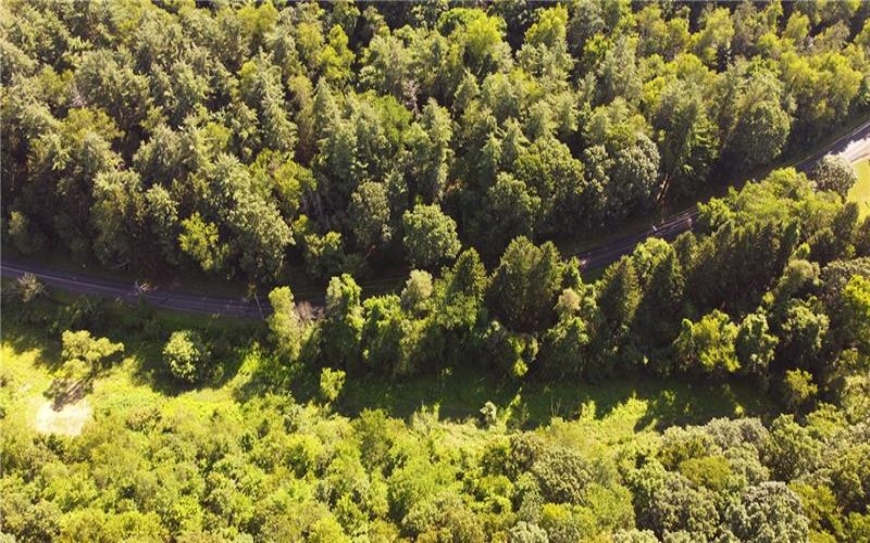 4076 Bulltown Rd, Murrysville, 15632, ,Farm-acreage-lot,For Sale,Raw Land, No Buildings,Bulltown Rd,1661841