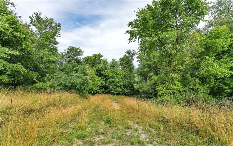 0 Rt51 / Tony Row /10 Frazier, Perryopolis, 15473, ,Farm-acreage-lot,For Sale,Rt51 / Tony Row /10 Frazier,1662747