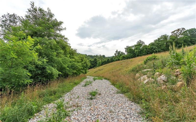 0 Rt51 / Tony Row /10 Frazier, Perryopolis, 15473, ,Farm-acreage-lot,For Sale,Rt51 / Tony Row /10 Frazier,1662747