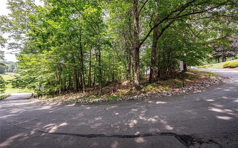 #1A & 130C LOTS LAKEWOOD RD, GREENSBURG, 15601, ,Farm-acreage-lot,For Sale,VACANT LAND,LAKEWOOD RD,1662805