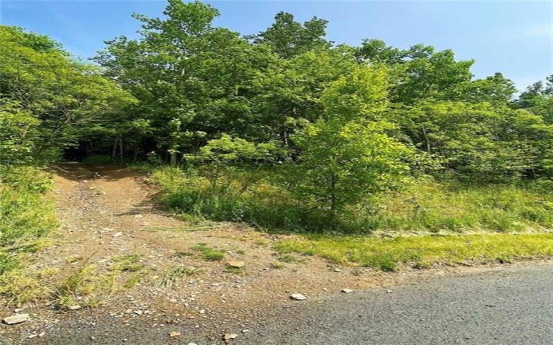 0 Broad Avenue, Central City, 15926, ,Farm-acreage-lot,For Sale,None,Broad Avenue,1663360