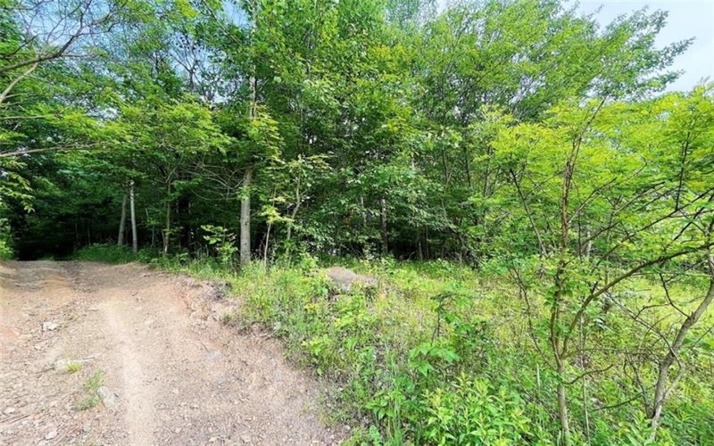 0 Broad Avenue, Central City, 15926, ,Farm-acreage-lot,For Sale,None,Broad Avenue,1663360