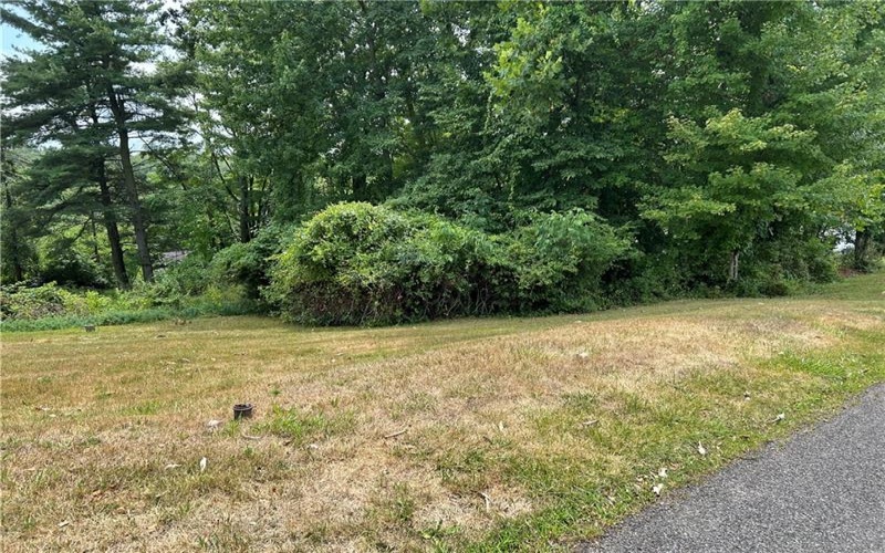 0 Rose St, Lower Burrell, 15068, ,Farm-acreage-lot,For Sale,Rose St,1663593