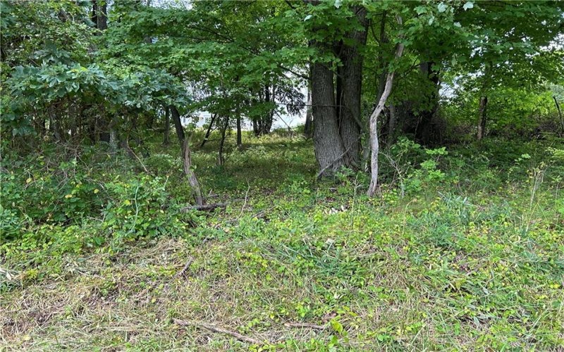 0 Rose St, Lower Burrell, 15068, ,Farm-acreage-lot,For Sale,Rose St,1663593
