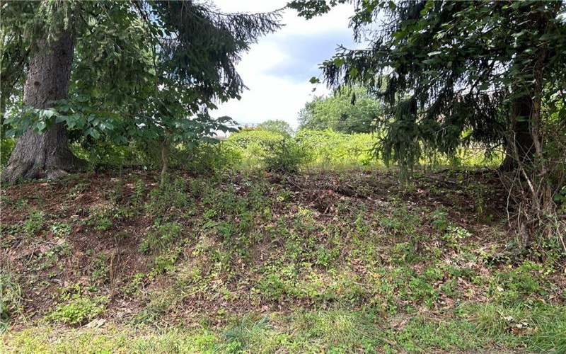 0 Rose St, Lower Burrell, 15068, ,Farm-acreage-lot,For Sale,Rose St,1663593