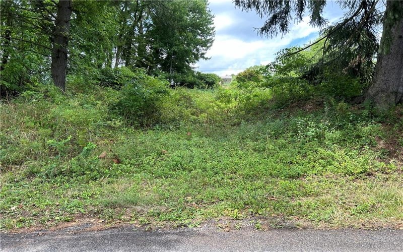 0 Rose St, Lower Burrell, 15068, ,Farm-acreage-lot,For Sale,Rose St,1663593