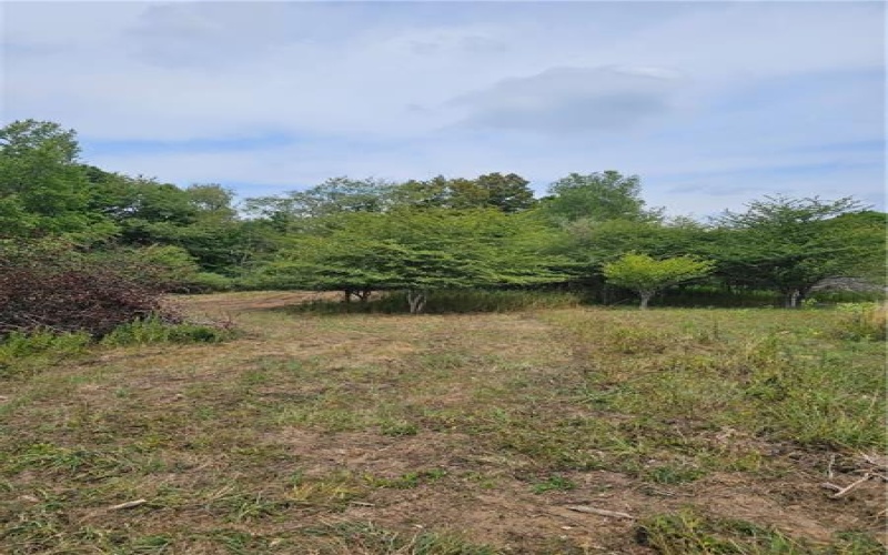 0 East Airpark Drive, Central City, 15926, ,Farm-acreage-lot,For Sale,East Airpark Drive,1664268