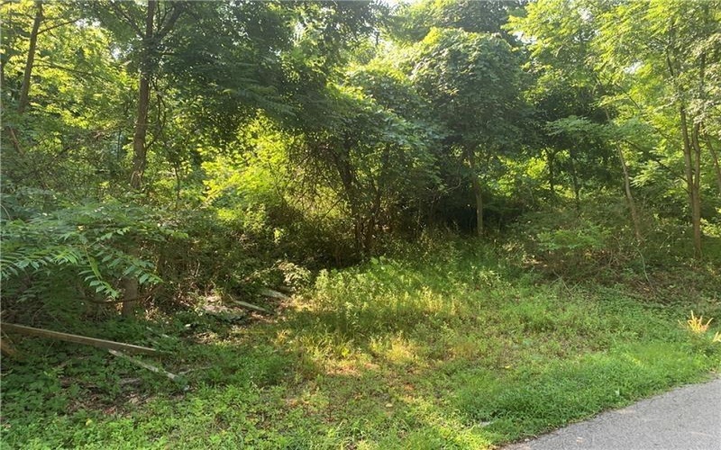 0 Roundtop Road, Irwin, 15642, ,Farm-acreage-lot,For Sale,Roundtop Road,1665192