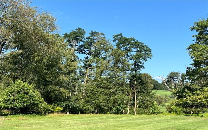 4002, Lot 2 Sardis Road, Murrysville, 15668, ,Farm-acreage-lot,For Sale,Sardis Road,1666829