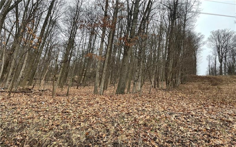 Lot 1-4 Cole Road, Murrysville, 15668, ,Farm-acreage-lot,For Sale,none,Cole Road,1667272