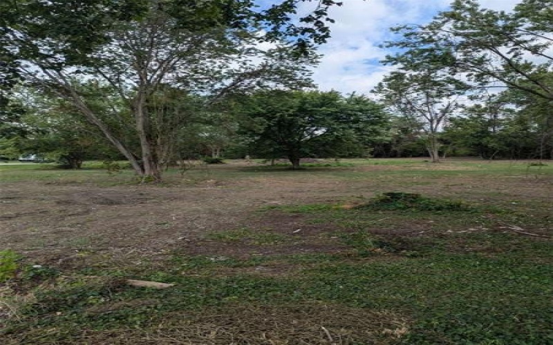 000 Gallatin Ave Extension, Uniontown, 15401, ,Farm-acreage-lot,For Sale,Gallatin Ave Extension,1667457
