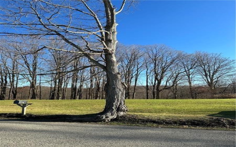 1155 Pa-381, Stahlstown, 15687, 2 Bedrooms Bedrooms, ,Residential,For Sale,Pa-381,1668001