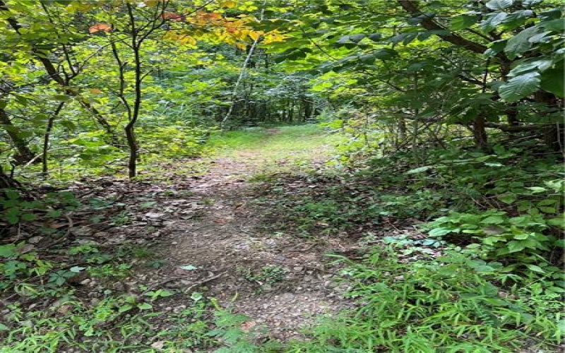 0 Chasake Trail, Apollo, 15613, ,Farm-acreage-lot,For Sale,Chasake Trail,1668133