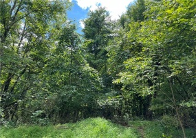 0 Chasake Trail, Apollo, 15613, ,Farm-acreage-lot,For Sale,Chasake Trail,1668133