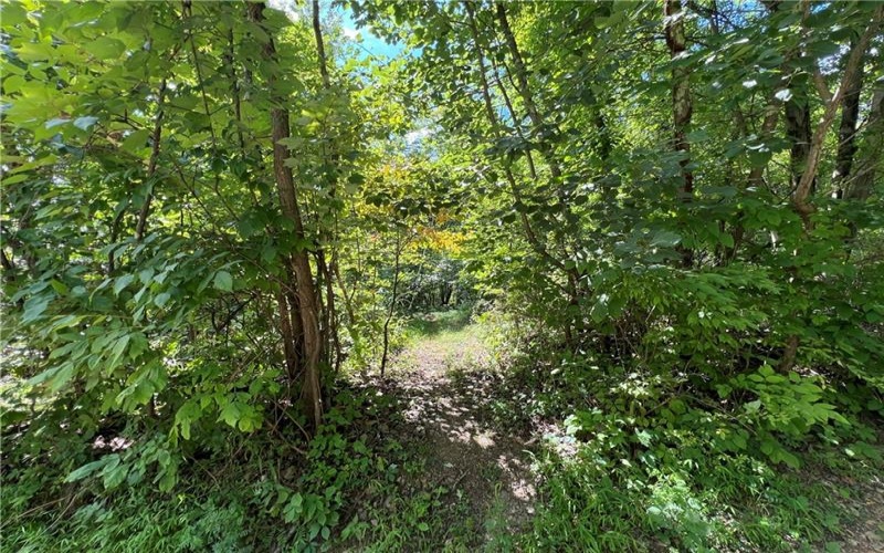0 Chasake Trail, Apollo, 15613, ,Farm-acreage-lot,For Sale,Chasake Trail,1668133