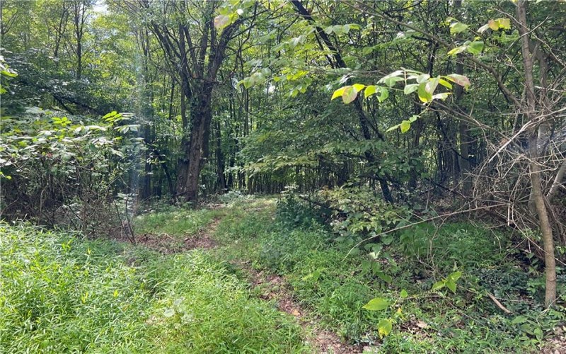 0 Chasake Trail, Apollo, 15613, ,Farm-acreage-lot,For Sale,Chasake Trail,1668133