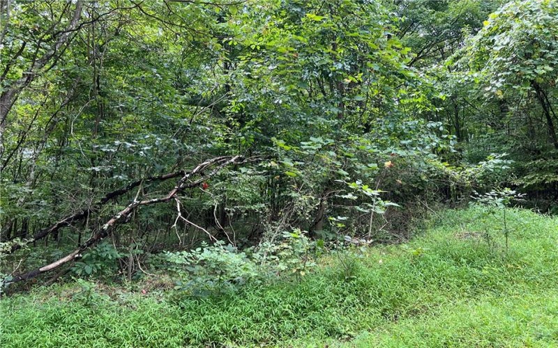 0 Chasake Trail, Apollo, 15613, ,Farm-acreage-lot,For Sale,Chasake Trail,1668133