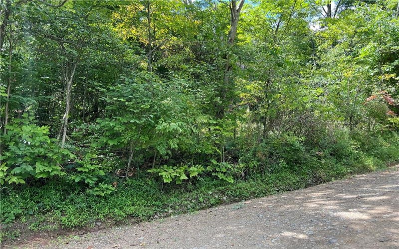 0 Chasake Trail, Apollo, 15613, ,Farm-acreage-lot,For Sale,Chasake Trail,1668133