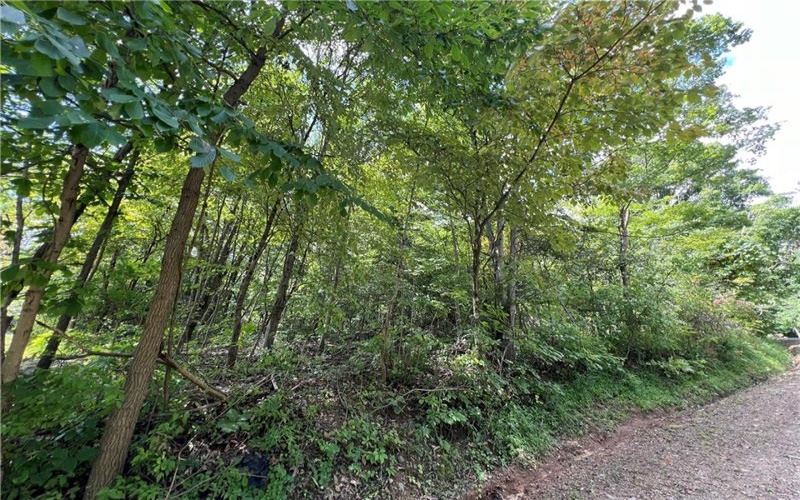 0 Chasake Trail, Apollo, 15613, ,Farm-acreage-lot,For Sale,Chasake Trail,1668133