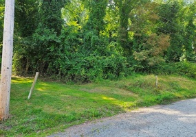 0 Arch Ave, Monessen, 15062, ,Farm-acreage-lot,For Sale,Arch Ave,1668518