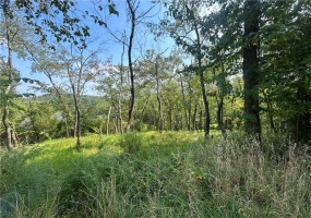0 North Hills Road, Murrysville, 15668, ,Farm-acreage-lot,For Sale,North Hills Road,1669305