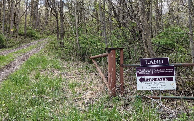 266 Lucky Ln, Dawson, 15428, ,Farm-acreage-lot,For Sale,None,Lucky Ln,1670347